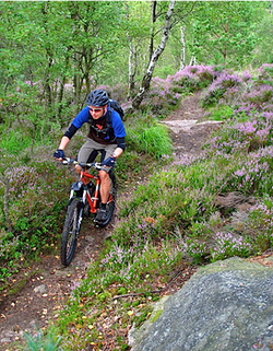 Göteborgs Umland bietet Trails und Wälder ohne Ende – perfekt für Mountainbiker. Foto: «Hillside Cycling»