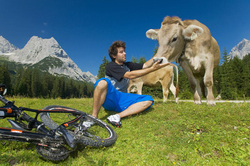 Mountainbiker finden im Zillertal ein Paradies vor. Foto: Norbert Freudenthaler